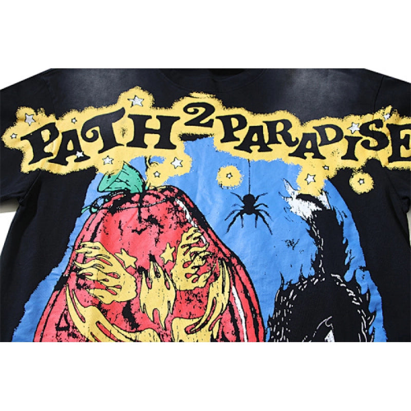 Hellstar T-Shirt Washed Black – HTS042