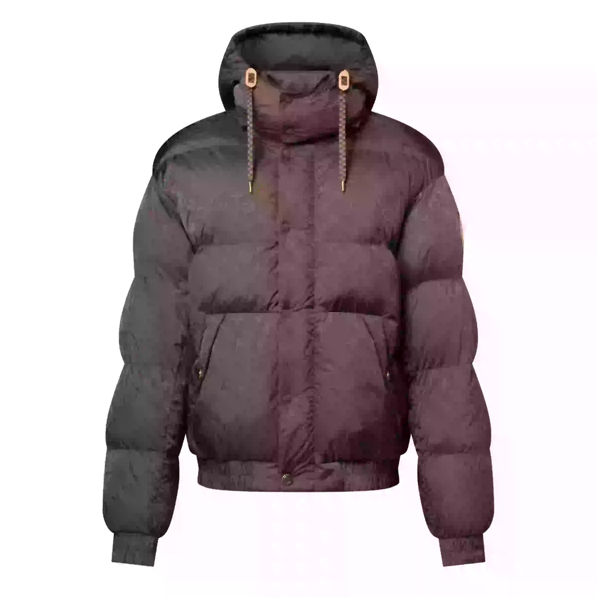 Louis Vuitton Monogram Down Blouson – LVC59