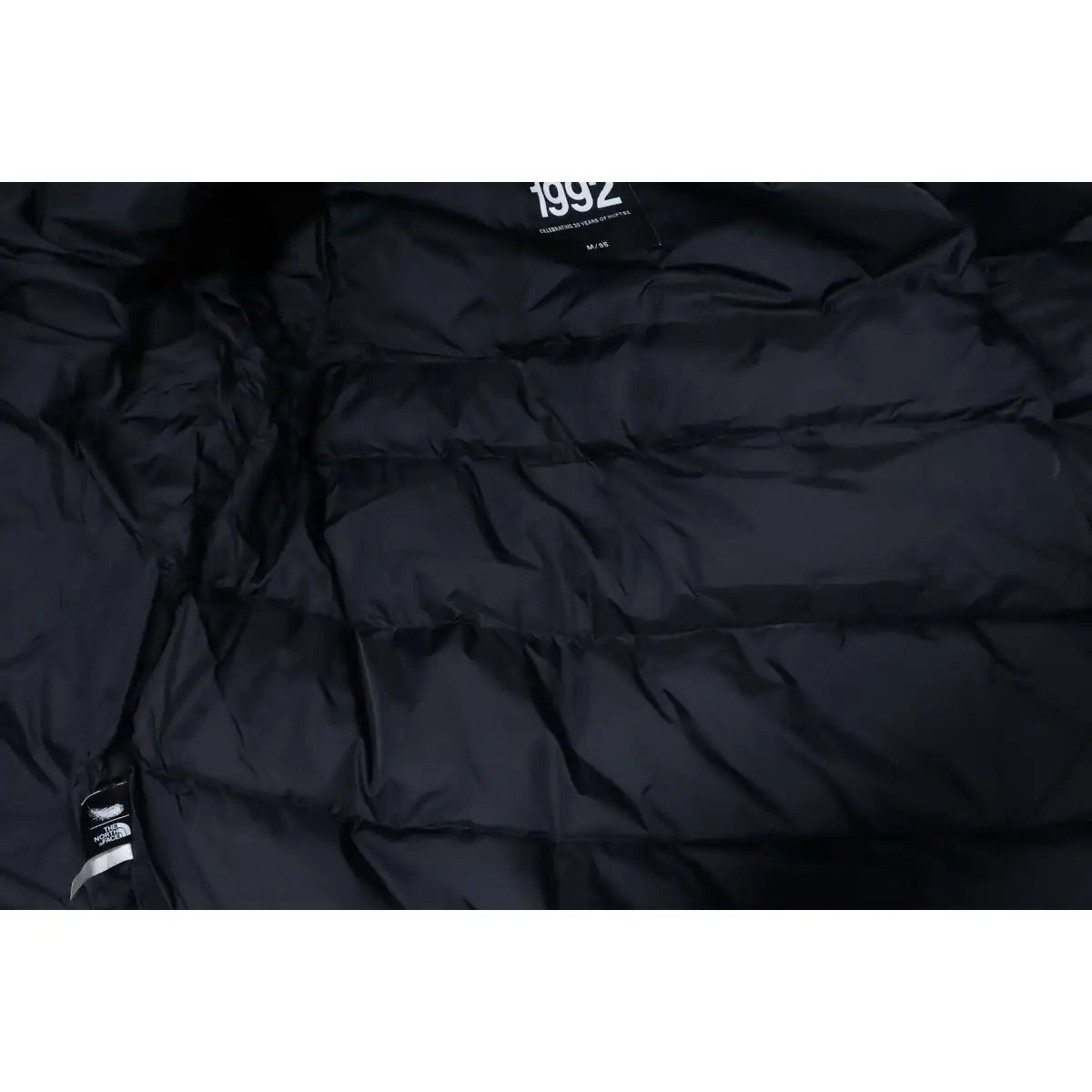 The North Face 1992 Armband 30th Anniversary Limited Edition Black Down Jacket – TNC005