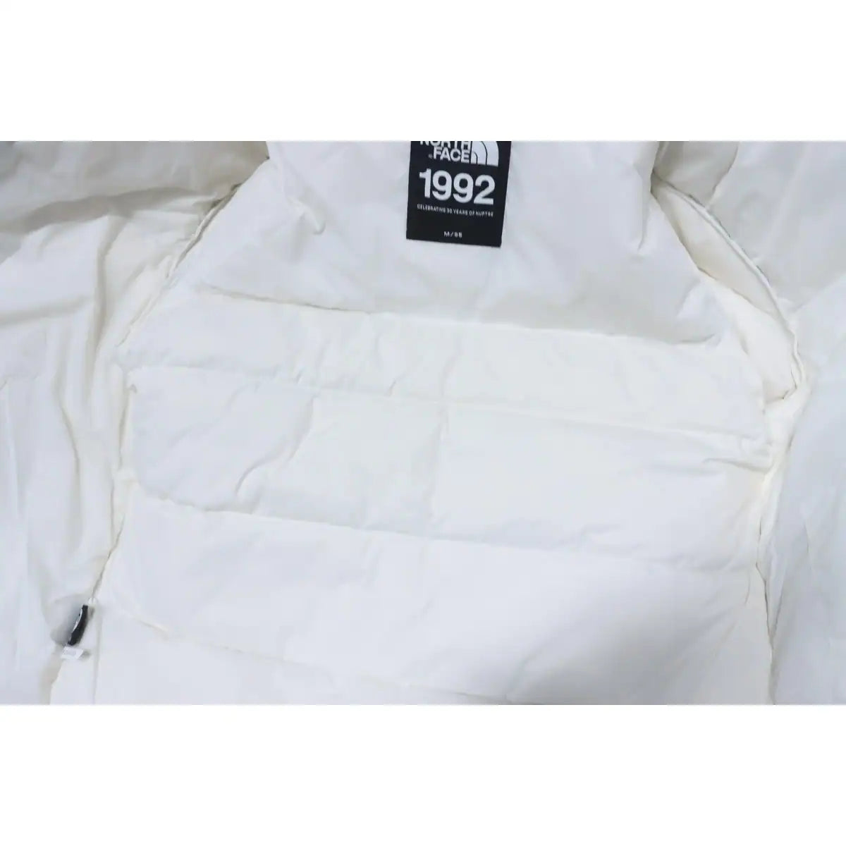 The North Face 1992 Armband 30th Anniversary Limited Edition White Down Jacket – TNC014
