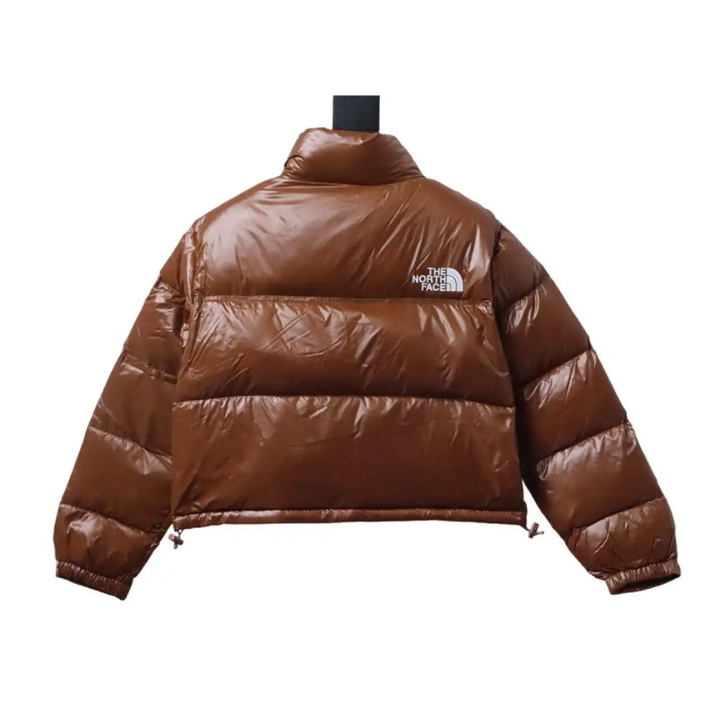 The North Face Stand-up Collar Short Down Jacket Brown – TNC012
