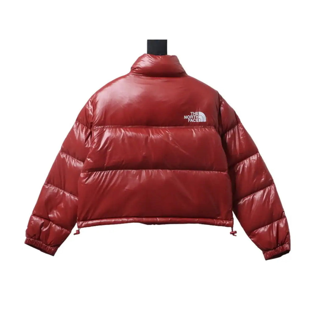 The North Face Stand-up Collar Short Down Jacket Red – TNC011