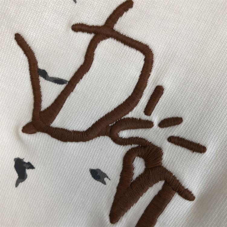 DIOR OVERSIZED CACTUS JACK DIOR T-SHIRT – DOT012