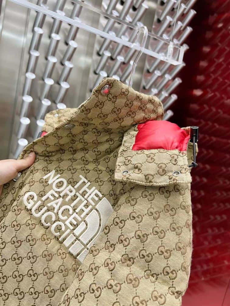 GUCCI X THE NORTH FACE PRINT JACKET BEIGE EBONY – GCJ011