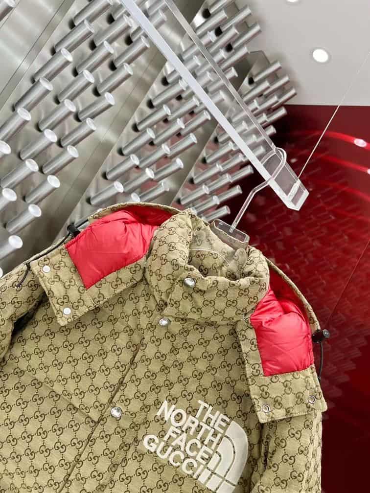 GUCCI X THE NORTH FACE PRINT JACKET BEIGE EBONY – GCJ011